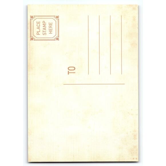 Vintage Halloween Witch & Jack-O-Lanterns Photochrome Postcard 5.5x4 - Picture 2 of 2